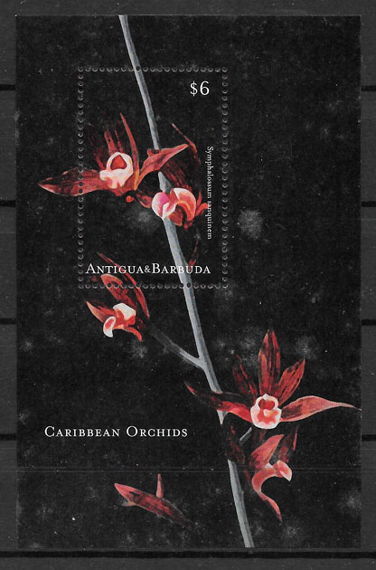 filatelia colección orquídeas Antigua 2001