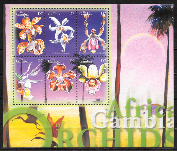 filatelia orquídeas Gambia 2001