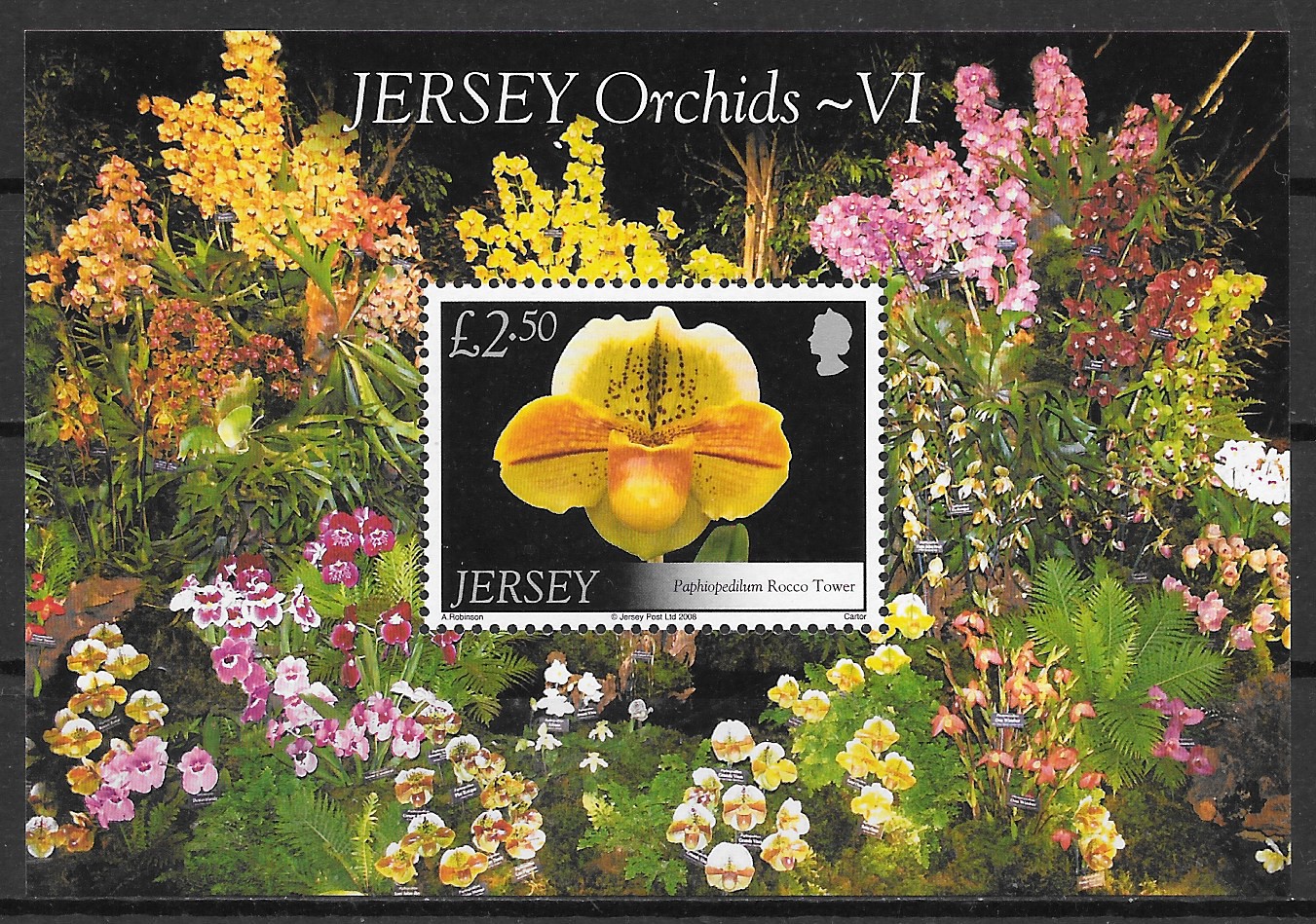 sellos orquideas Jersey 2008