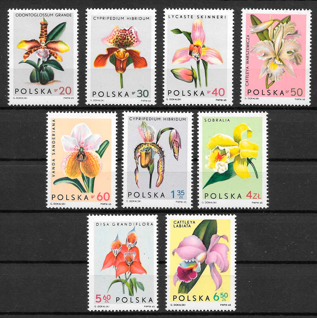 filatelia orquideas Polonia 1965